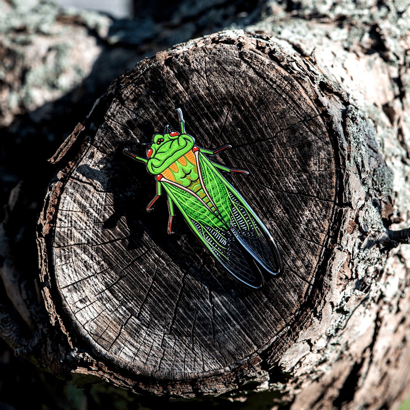 Greengrocer Cicada Enamel Pin by The Roving House