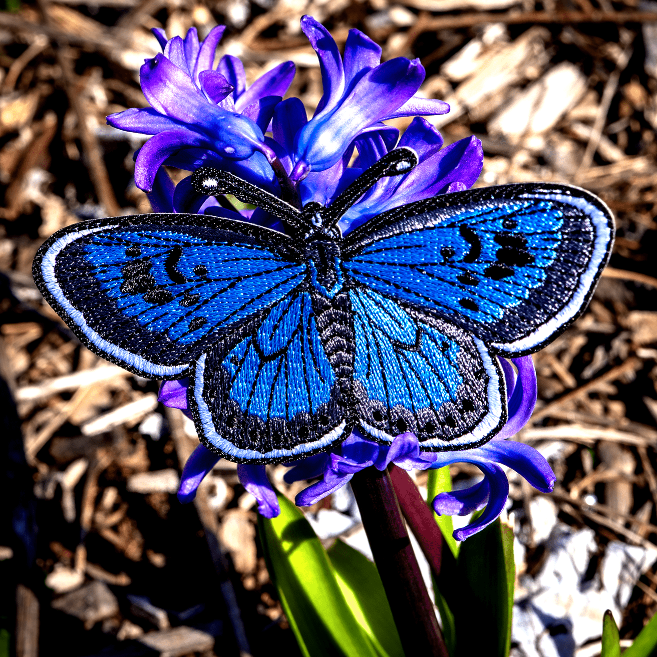 Large Blue Butterfly Iron-on Patch