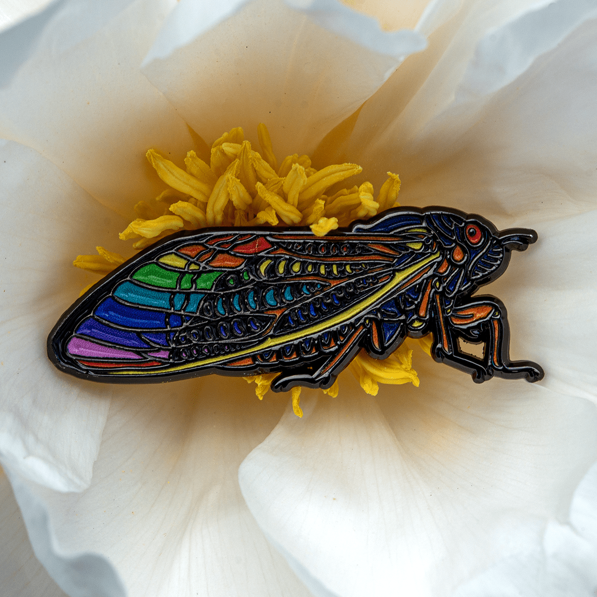 Periodical Cicada Enamel Pin | 2024 Rainbow Edition by The Roving House