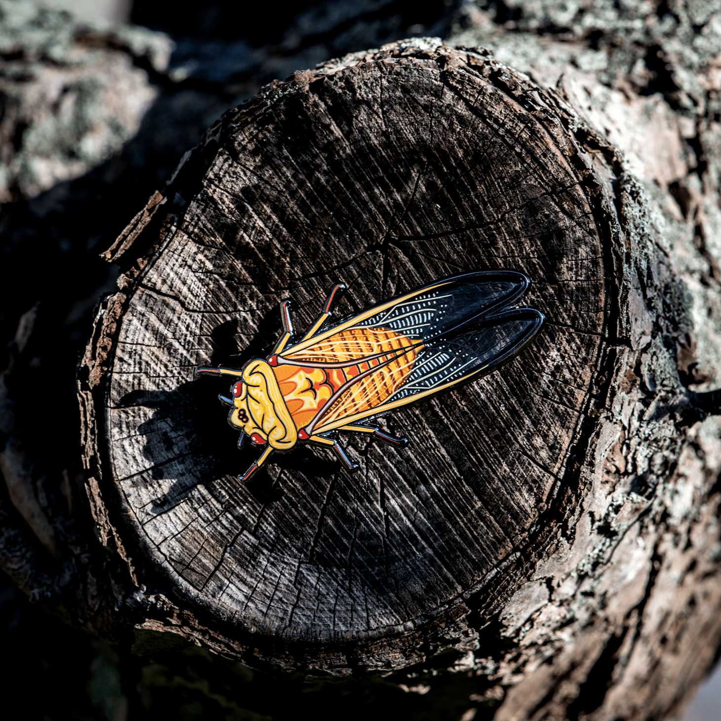 Yellow Monday Cicada Enamel Pin by The Roving House